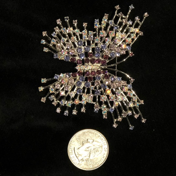 Nolan Miller Aurora Borealis *Stellar Butterfly - Picture 5 of 8